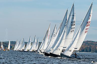image-10191