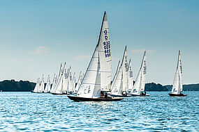 image-10022