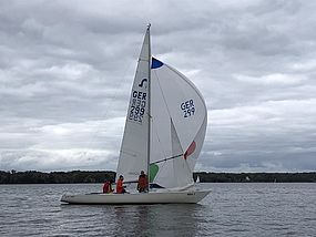 image-10131